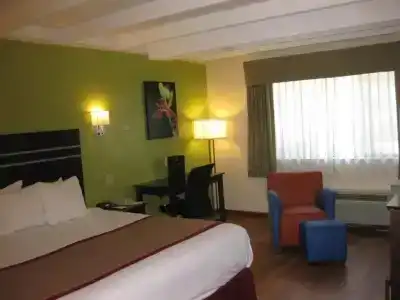 Best Western Orlando West - 41