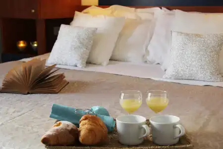 Residence Mimosa - 4
