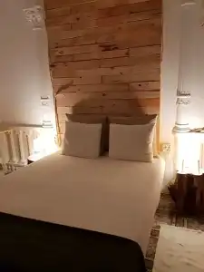Cactus Host - 50