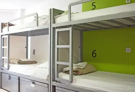The White Tulip Hostel - 6