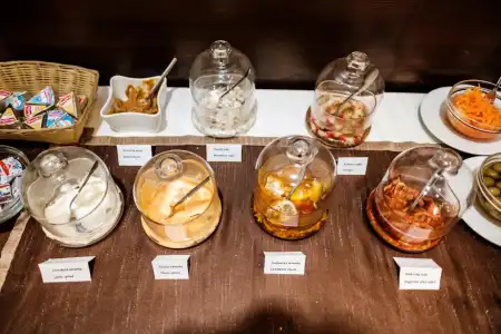 Deluxe with Free Wellness and Fitness Centrum - 10