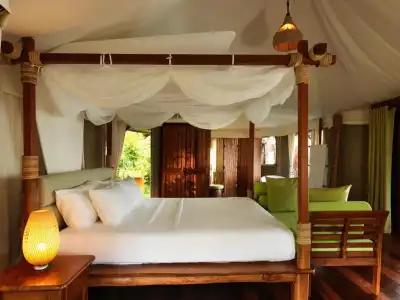 9 Hornbills Tented Camp - 16