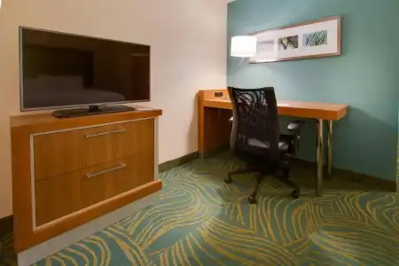 SpringHill Suites by Marriott Orlando Lake Buena Vista South - 30