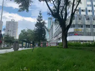 INSAIL (Shenzhen Dongmen Branch ) - 23