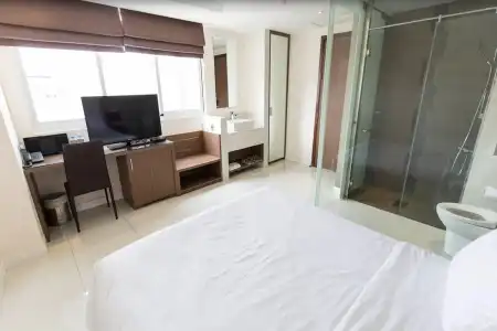 The Luxe - 27