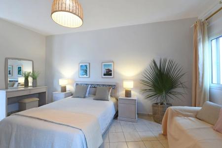 Asteras Paradise - 173