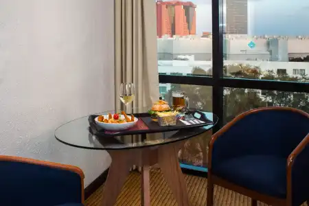 Guadalajara Plaza Expo Business Class - 7