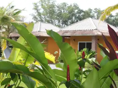 The Park Drive-Thru Check-In Resort - 15