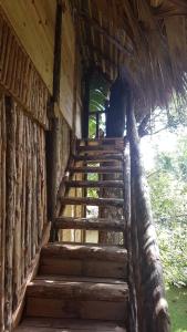 Cabarete Boutique Ecolodge Beachfront - 128