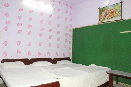 Raj Bed & Breakfast - 27