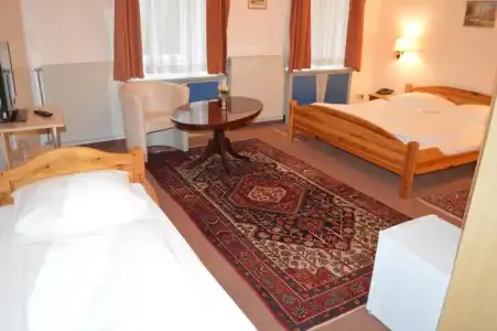 Pension Walzerstadt - 25