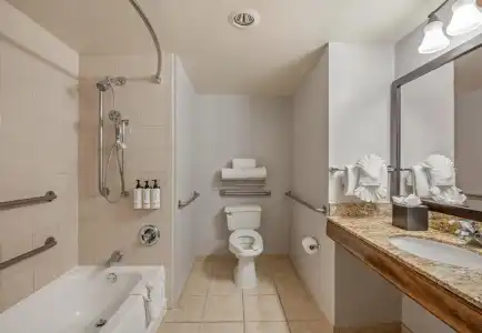 Crowne Plaza San Diego - Mission Valley by IHG - 8
