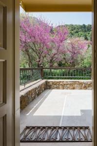 Mazaraki Guesthouse - 33