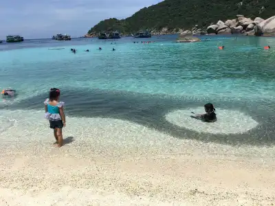 P.D. Beach Resort - 19