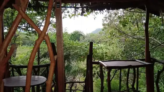 Sigiriya Rock Gate Resort - 121
