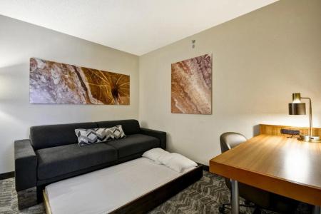 SpringHill Suites Lexington Near the University of Kentucky - 1
