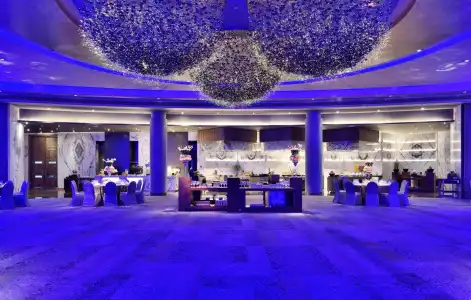 Hyatt Regency Delhi - 32