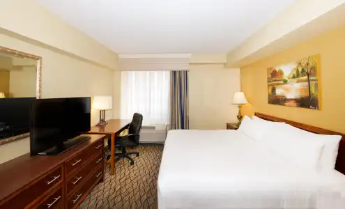 Holiday Inn & Suites Chicago - Downtown by IHG - 4