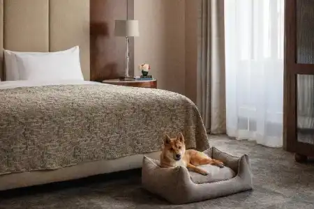 Anantara Palais Hansen Vienna - 70