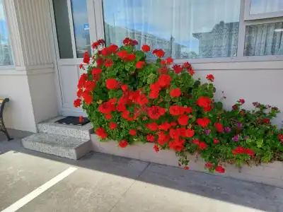 Comfort Inn Tayesta - 86