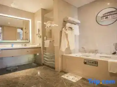 Holiday Inn Suzhou Huirong Plaza by IHG - 165