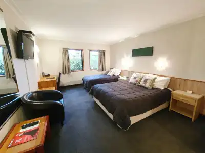 Fitzherbert Castle Motel - 4