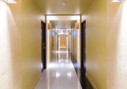 Zenniq - 15