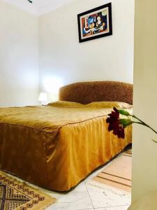 Hôtel Lafayette - 32