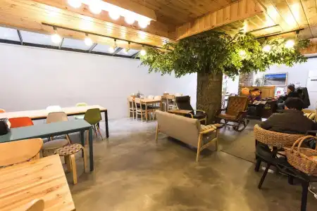 Twin Rabbit Hostel - 21
