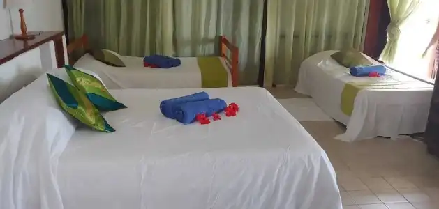 Mango Lodge - 66
