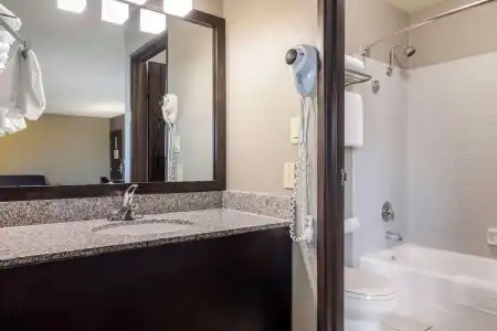 Best Western McCarran Inn - 61