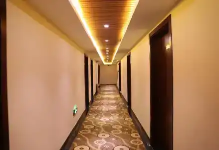 Zhiyun Youth - 7