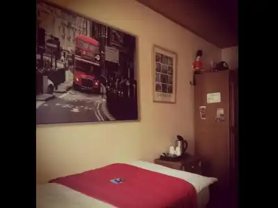 Henblas-Hotel - 15