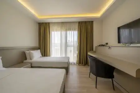 Olive Tree - 21