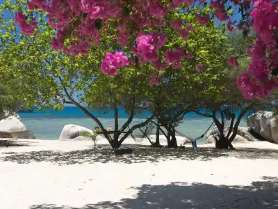 View Point Resort Koh Tao - 12