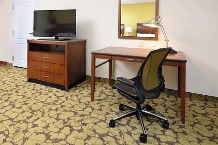 Hilton Garden Inn Greensboro Airport - 99