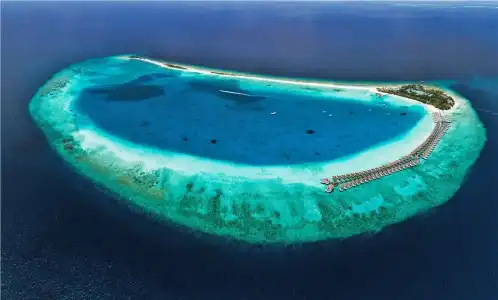 Finolhu, A Seaside Collection Resort, a Member of Designs - 23