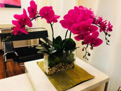 Baipho Lifestyle - 51