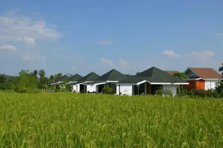 Nok Chan Mee Na - 29
