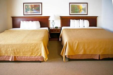 Alex and Suites - 67