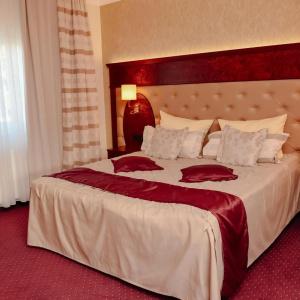 Residenz Babenhausen - 28
