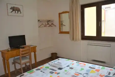 Betulla dell'Etna - 20