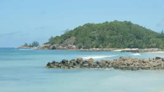 The Islander - 60
