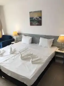 Palma - 6