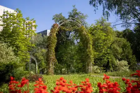 Zelenaya Roscha - 32