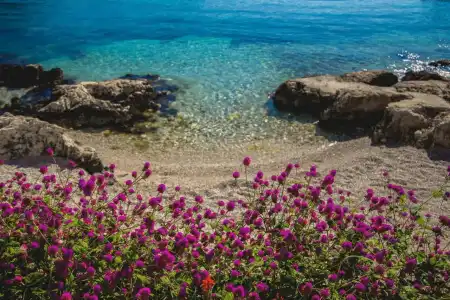 Blanca Beach - 14