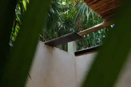 Eco.Bañitas - 54