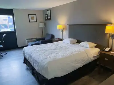 Rodeway Inn Rochester Airport - 3