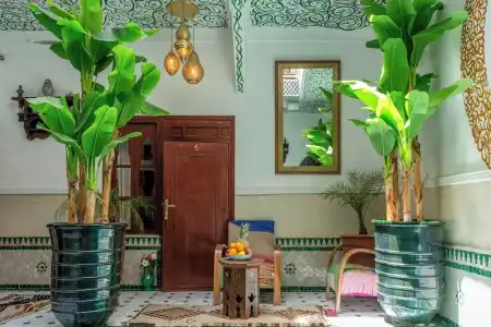 Riad Les Orangers du Désert - 14
