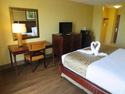 B&B Orlando International Drive Near Universal - Newly Renovated! - 153